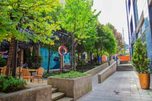 Parque El Espartillal Zona Rosa