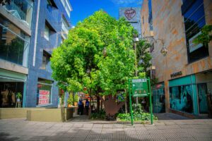 Parque El Espartillal Zona Rosa