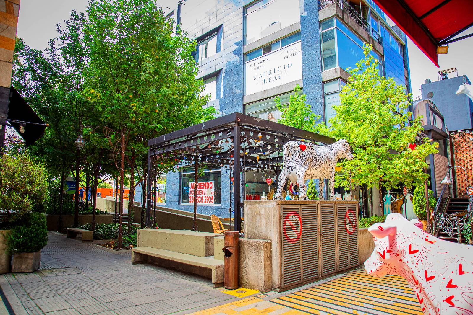 Zona Rosa