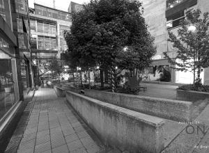 Historia Zona Rosa